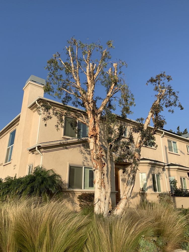 Oscar's Tree Service