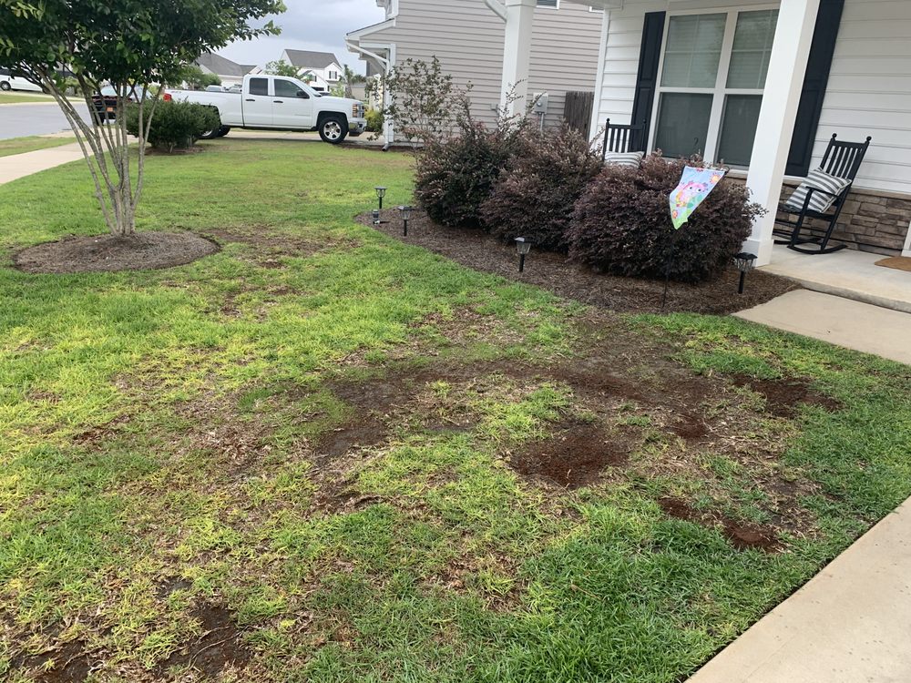 Bowman's Best Lawn Care