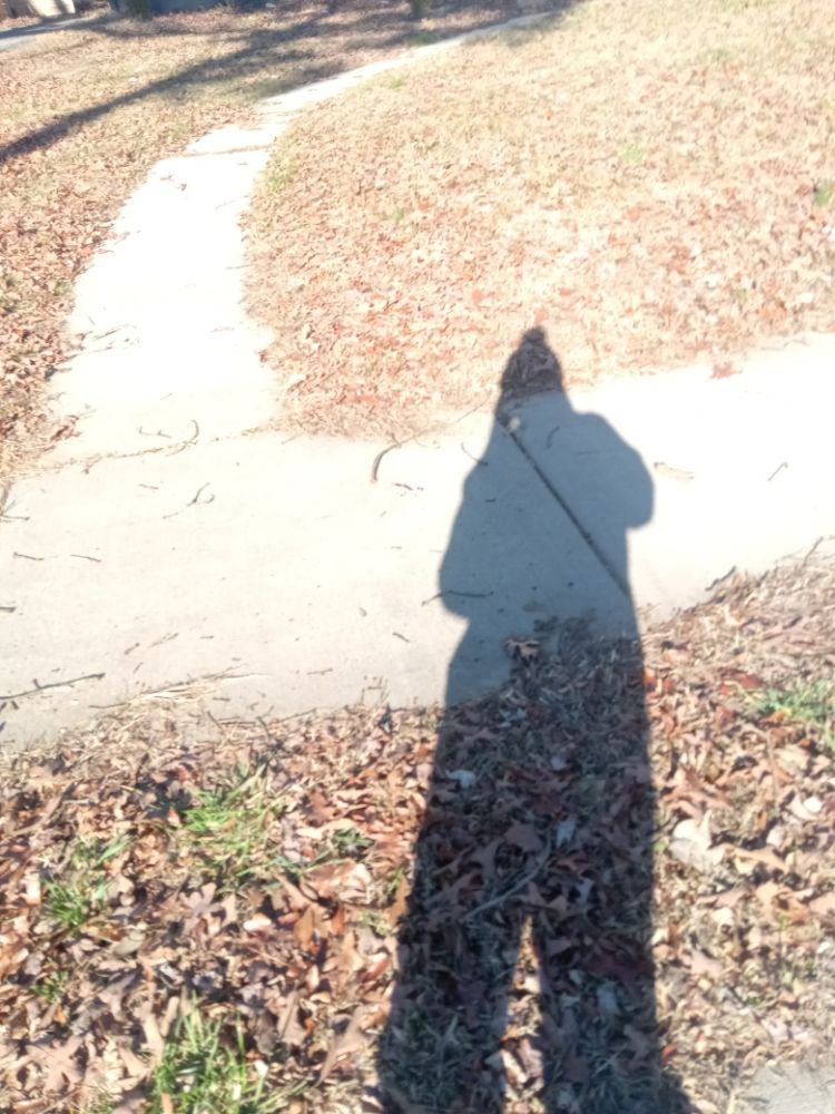 A.S.A.P. Quick & Fresh