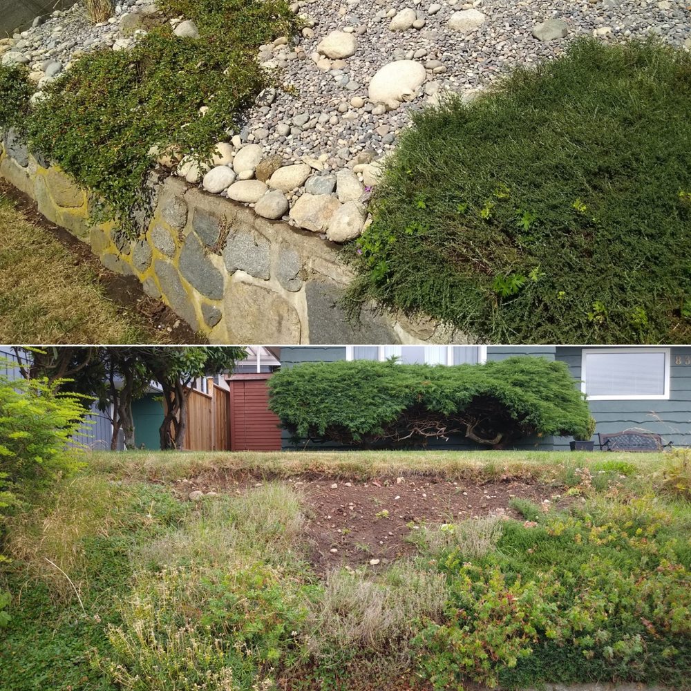 Curb Appeal Landscapes