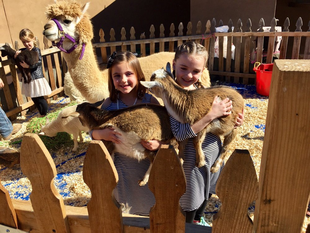 Carter's Farm Mobile Petting Zoo - 19 Photos & 16 Reviews ...