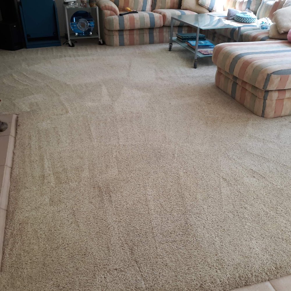 Miracle Services Green Carpet Cleaning