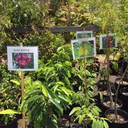 Walter Andersen Nursery 66 Photos 133 Reviews Nurseries Photo Of Walter Andersen Nursery San Go Ca United States