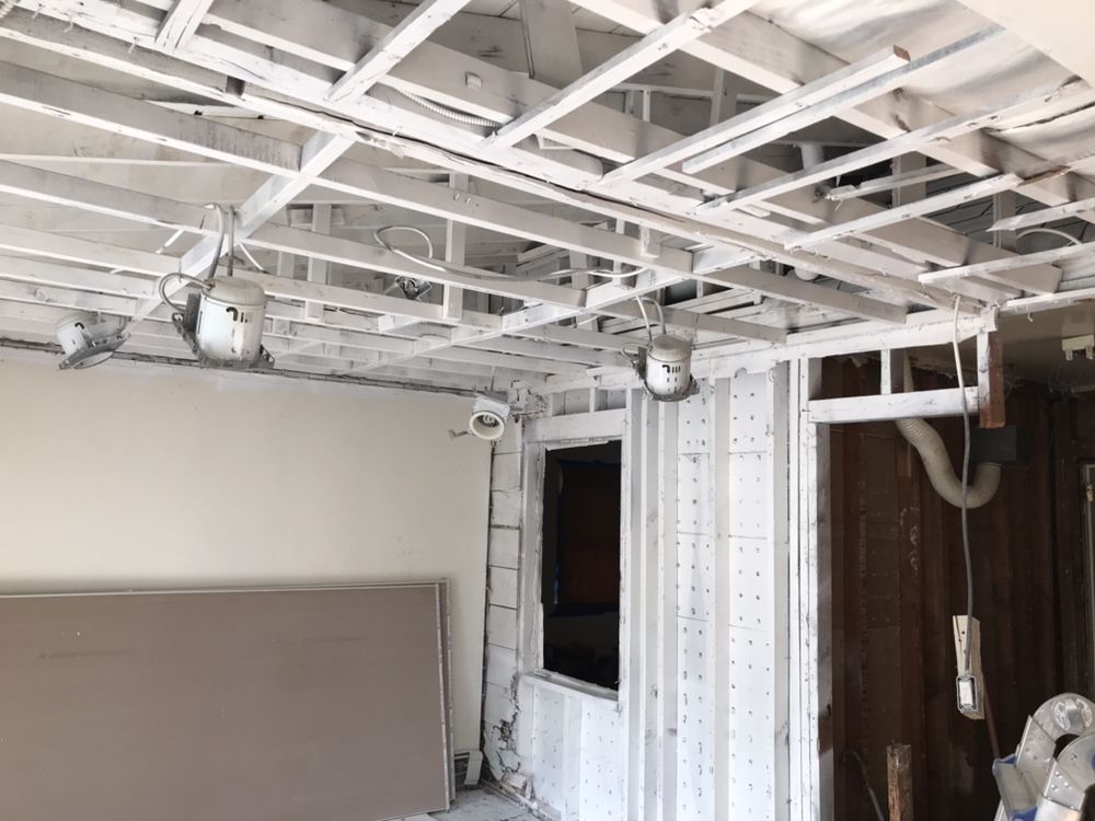 DR MOLD REMOVAL