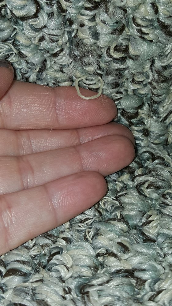 Carpet Clearance Outlet