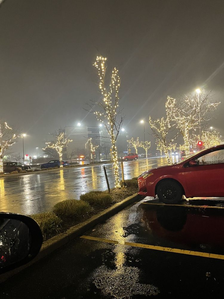 Kohl's