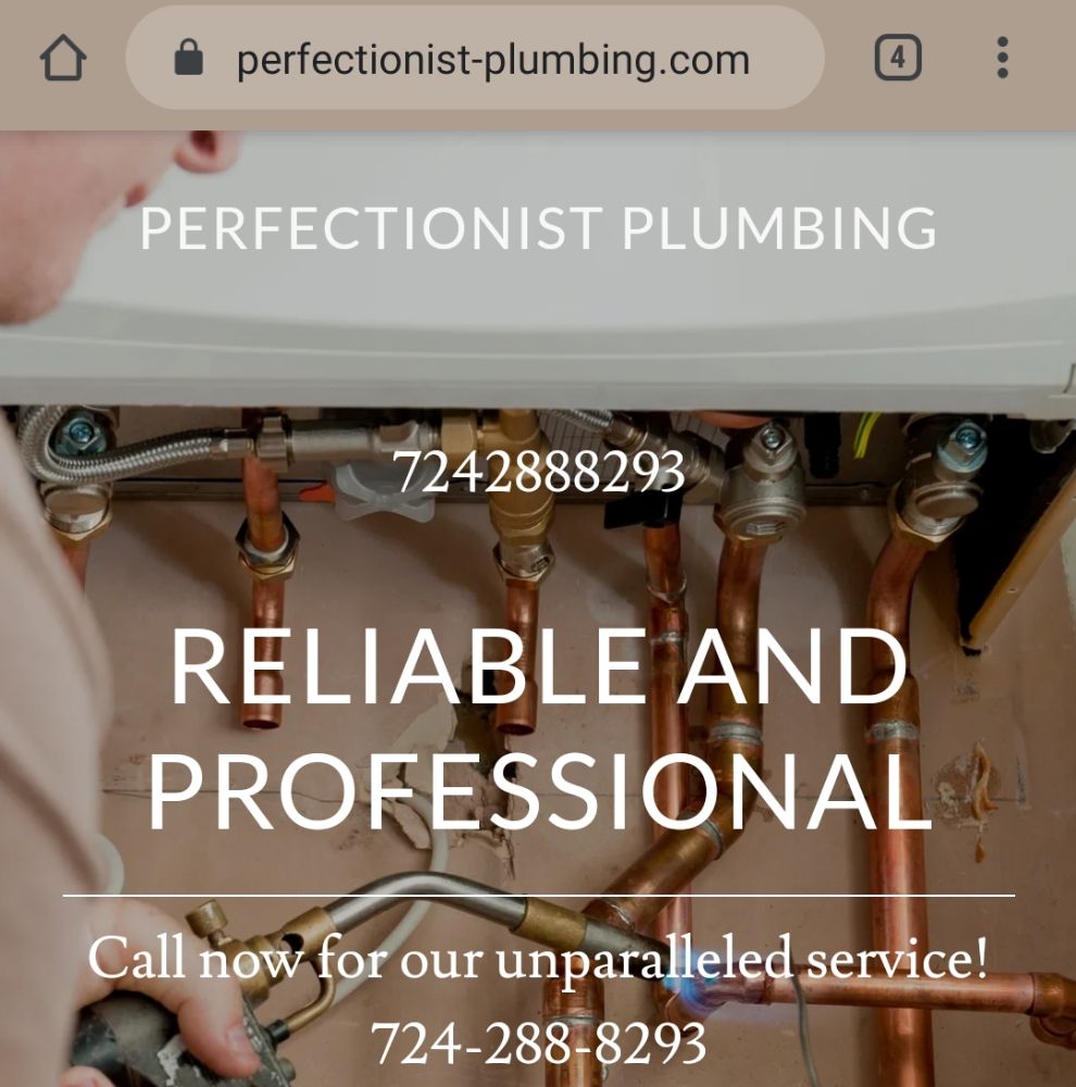 Perfectionist Plumbing