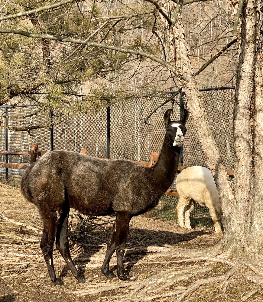 Lehigh Valley Zoo
