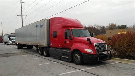 The Rose of Saron Transportation