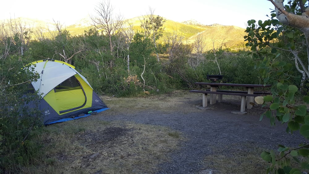 Angel Creek Campgrounds 8 Miles South Of Wells On Nv 231, Wells, NV