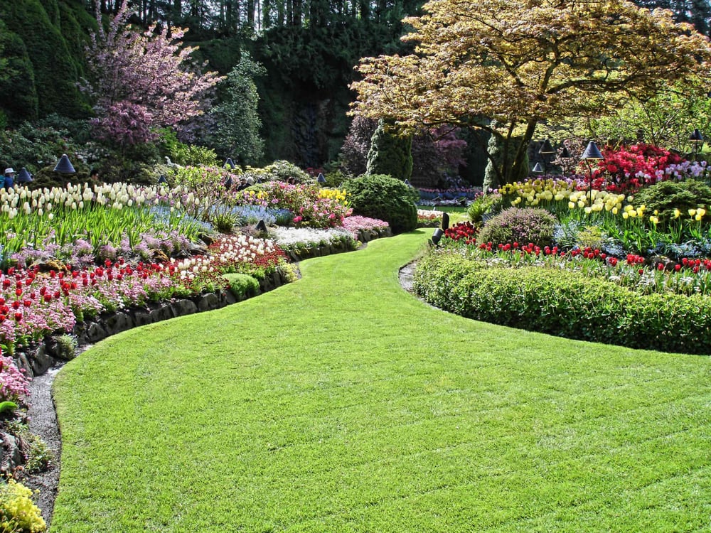 JD Lawn Services