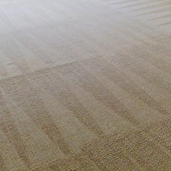 Dynamic Rugs Royal Treasure Gray Yellow Area Rug Reviews Wayfair Photo Of Dynamic Carpet Cleaning Restoration San Jose Ca United States