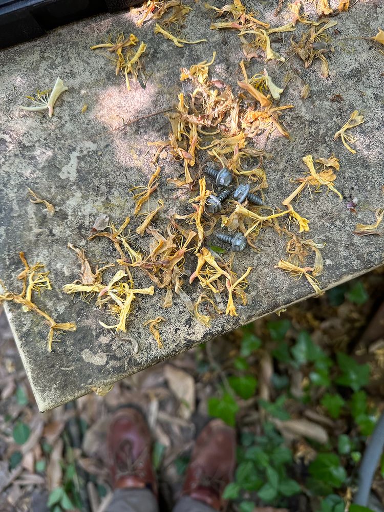 image of business Classic Aire Care