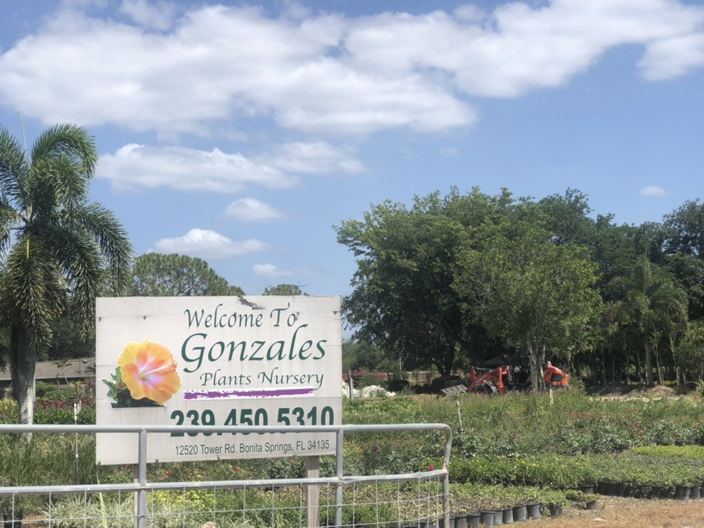 Gonzales Plants Nursery