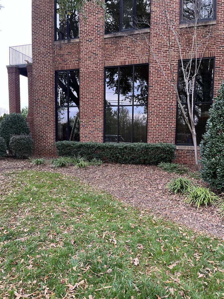 Can You See Me Window Cleaning