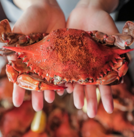 Hook & Reel Cajun Seafood & Bar