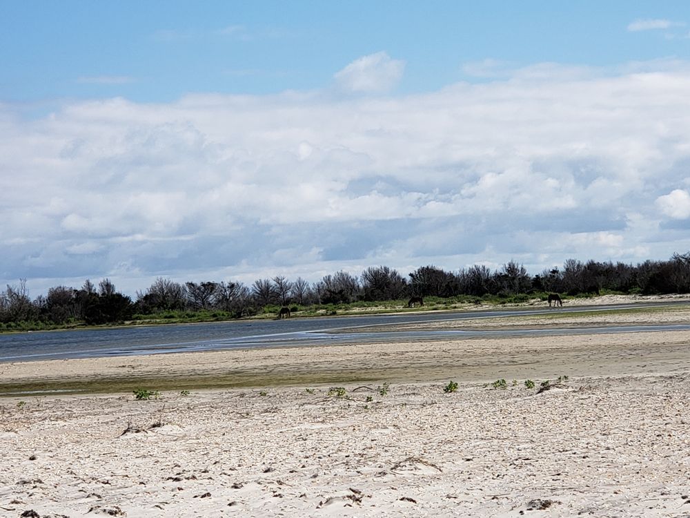 Crystal Coast Lady Cruises