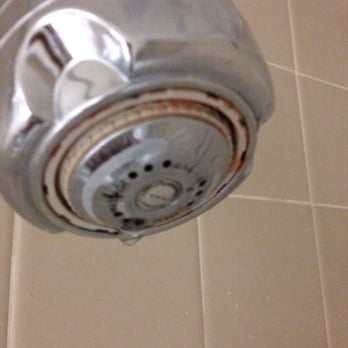 Quality Inn Suites Mall Of America Msp Airport 61