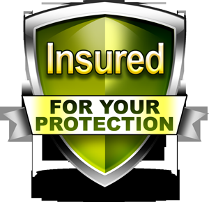 Valor Home Inspection
