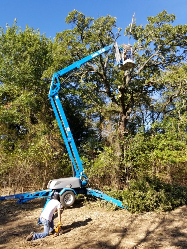 Freedom Mulching & Land Clearing