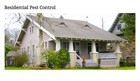 Portland Pest Guard