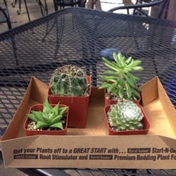 Great Outdoors Nursery - 55 Photos - Nurseries & Gardening - 78704