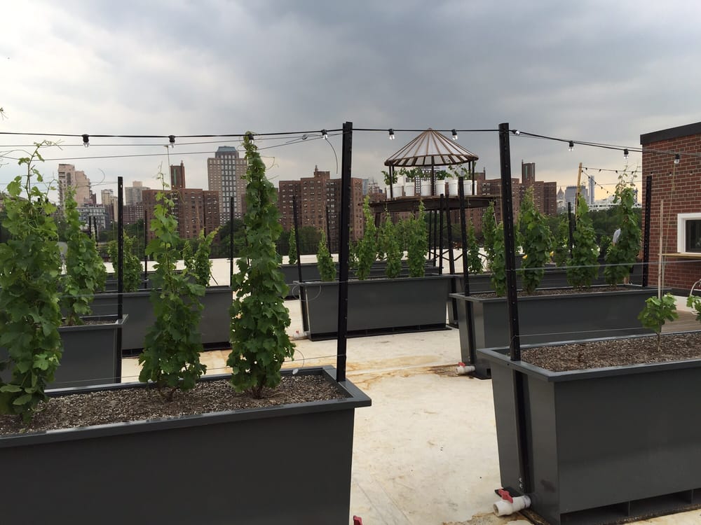 Rooftop Reds 76 Photos & 19 Reviews Wineries 63 Flushing Ave