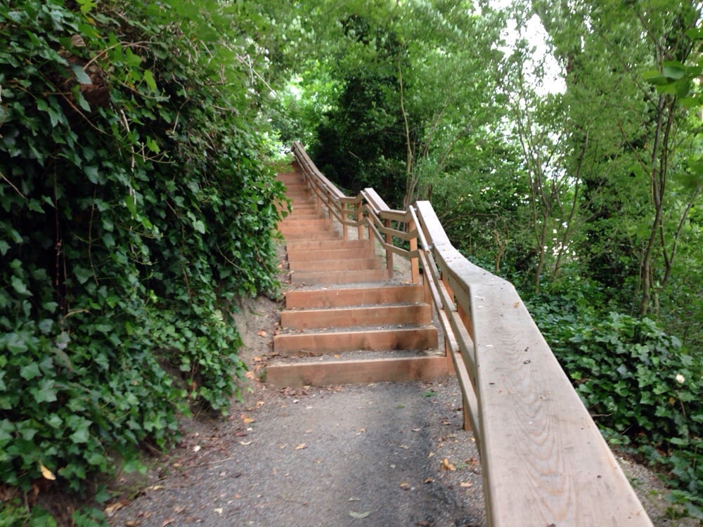 Kinnear Park Off-Leash Area