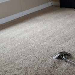 Bravo Carpet Cleaning Services 11 Photos Mount Photo Of Bravo Carpet Cleaning Services Mount Vernon Wa United States