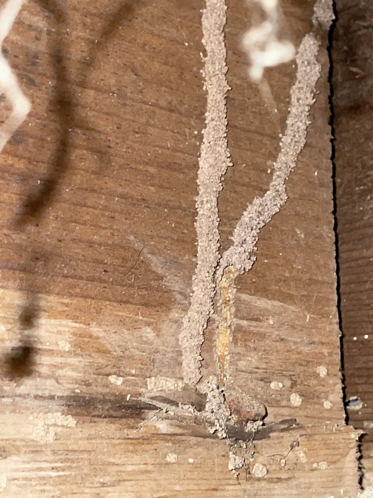 Family Termite & Pest Control