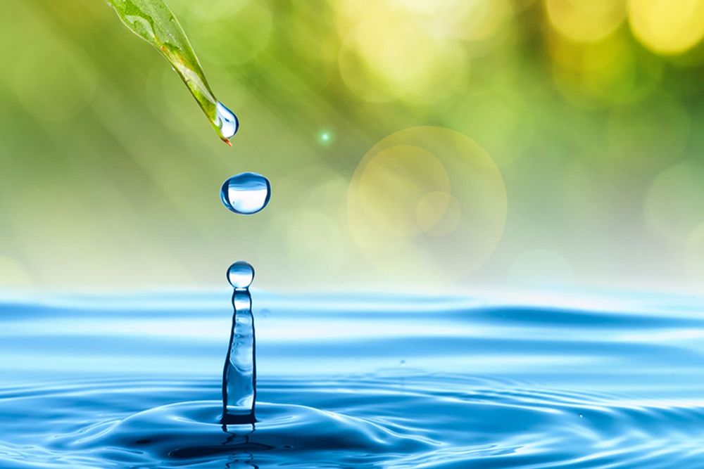 Safe Solutions Carpet Cleaning