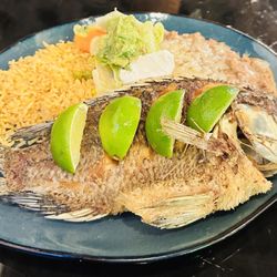 El Sauz Cocina Mexicana photo