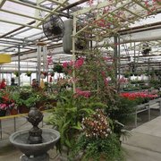 Roorbach Flowers 10 Photos Florists 961 S 29th St Manitowoc Photo Of Roorbach Flowers Manitowoc Wi United States