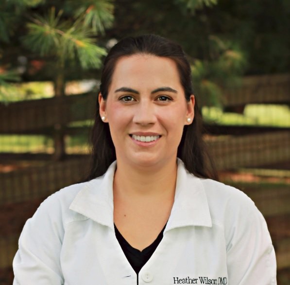 image of business Four Points Family Dental