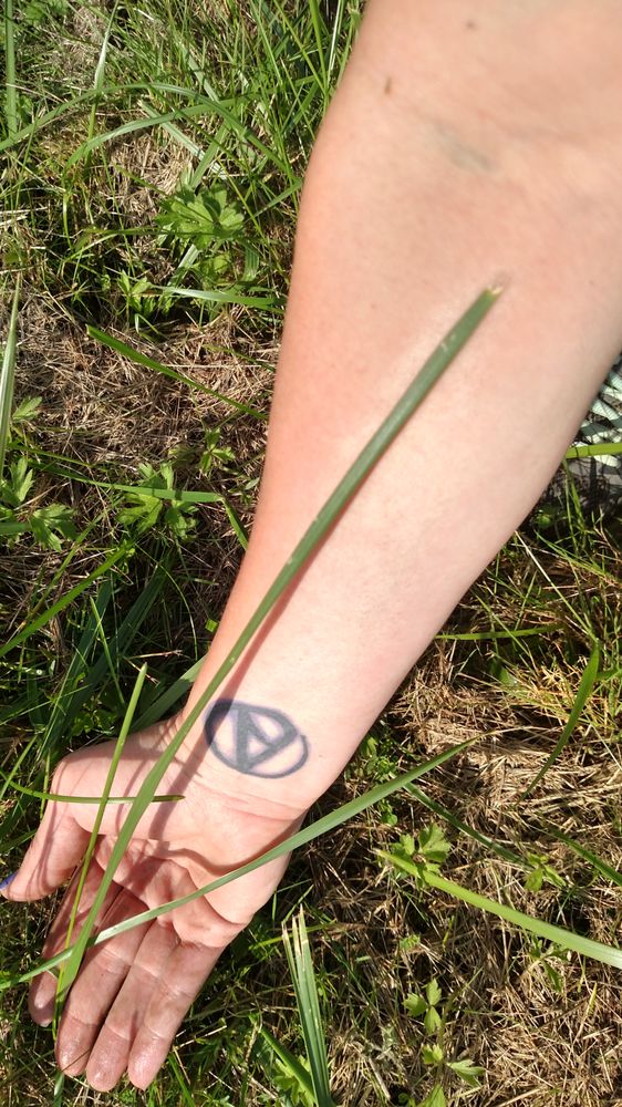 image of business Crane