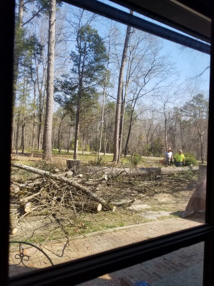 Reddick Tree Service