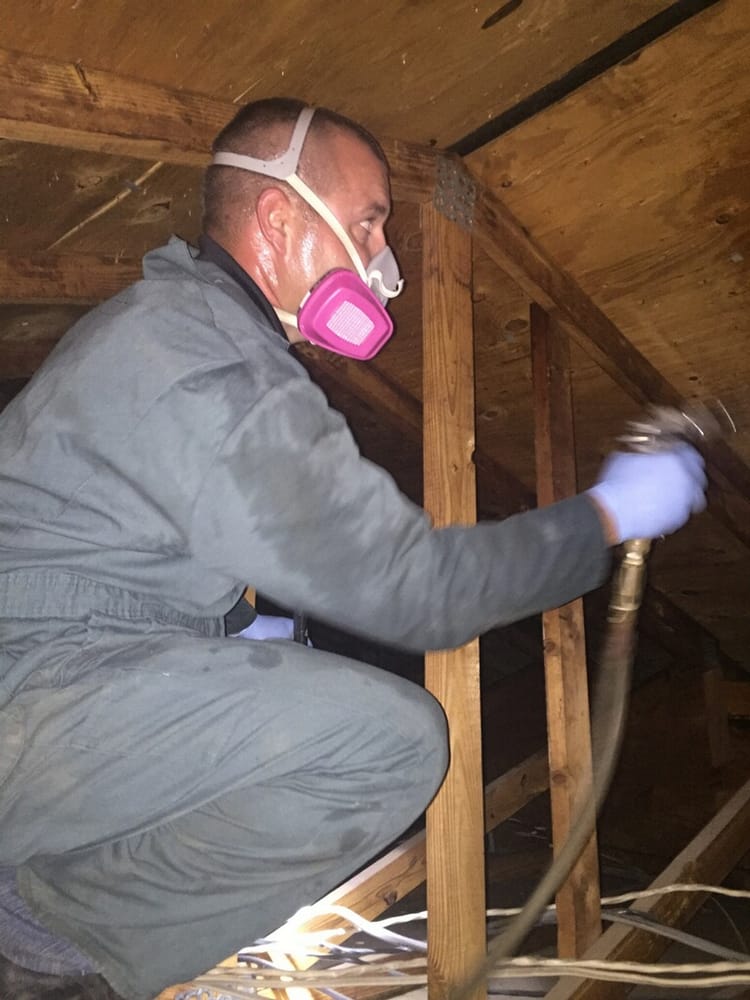 Accurate Pest Management