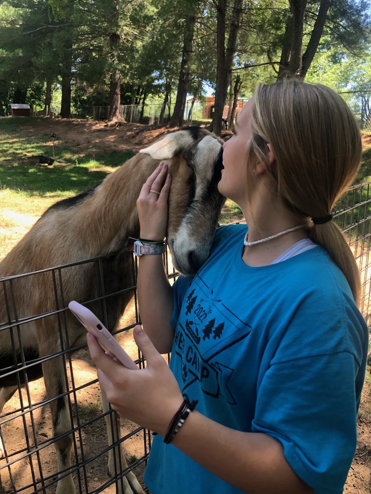 Animal Haven of Asheville Image