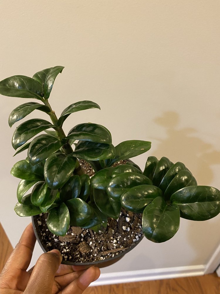 Durham Garden Center