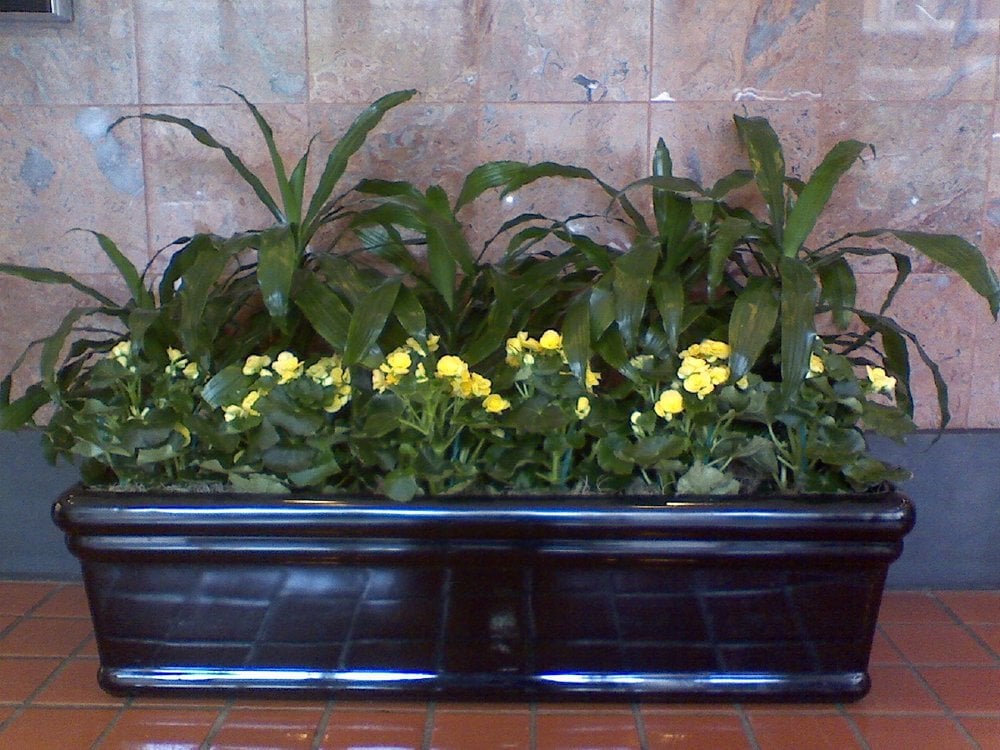 San Francisco Plant Co. Nurseries & Gardening 2325 3rd St, Dogpatch