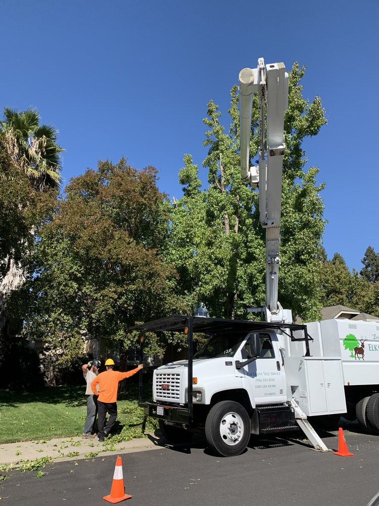 Elk Grove Tree Service