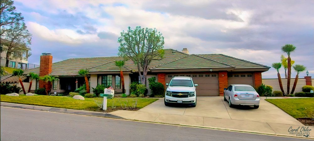 Kings Tree Service