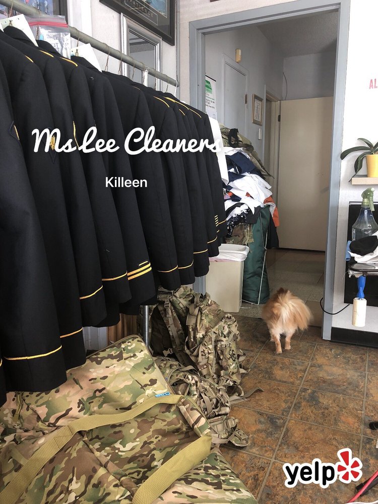 Ms Lee Cleaners
