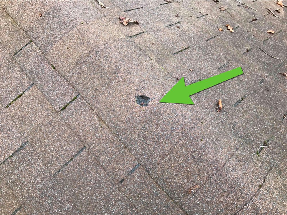 Best Choice Property Inspections