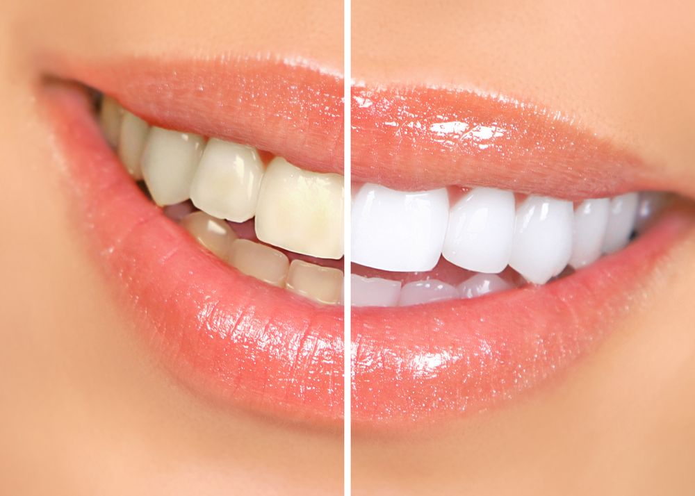 image of business Florida Special Care Dentistry