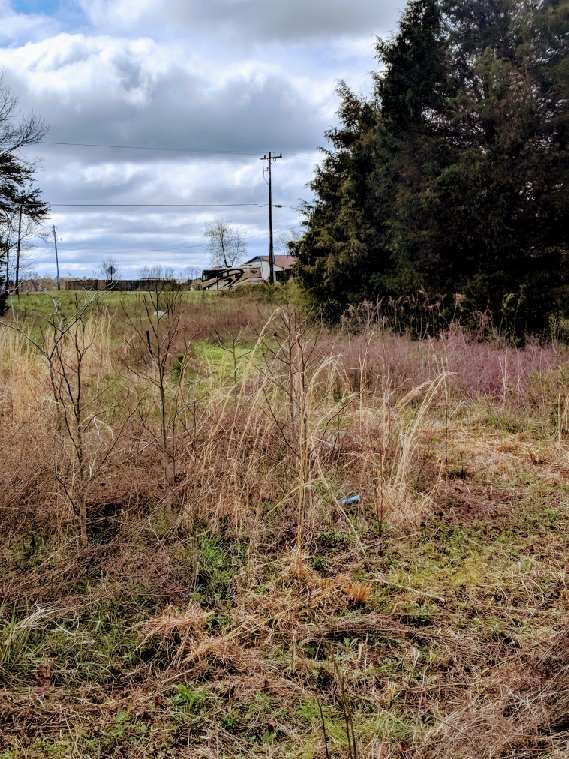 Thomas Lawn & Landscaping