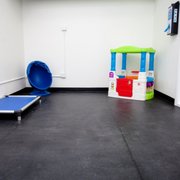 D Pet Hotels Los Angeles 71 Photos 27 Reviews Groomers Photo Of D Pet Hotels Los Angeles Encino Ca United States