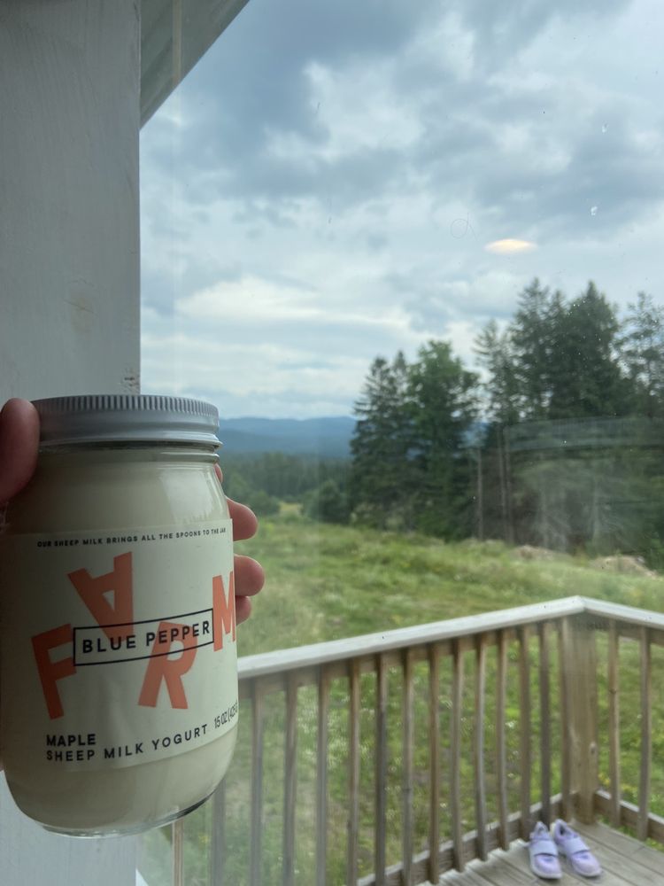Alpine Motor Inn