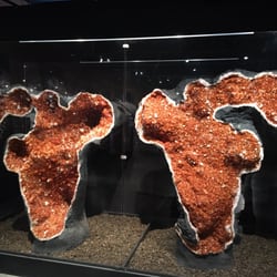Houston Museum Natural Science Sugarland Houston Museum Natural Science Sugarland