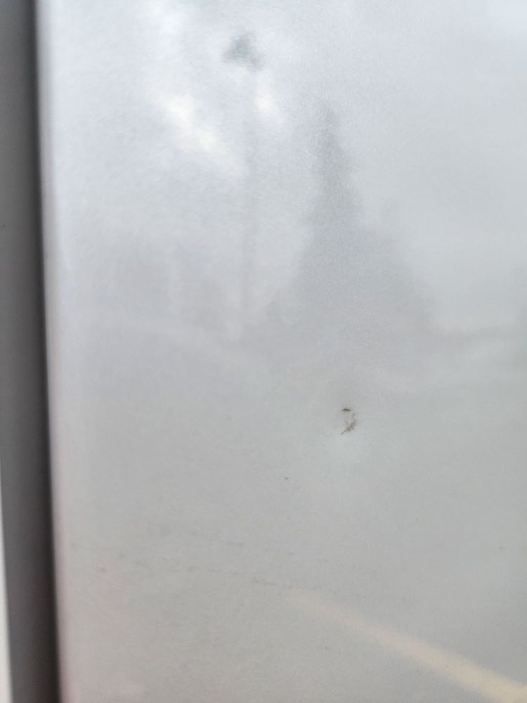 Showtime Paintless Dent Repair